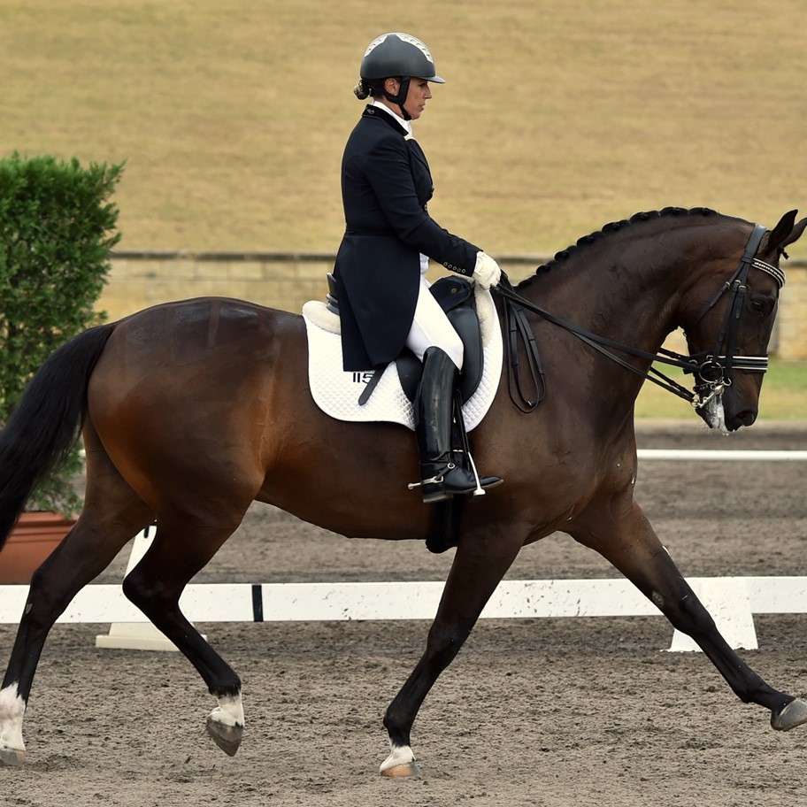 2016 Australian Olympic Dressage Team Equestrian Australia